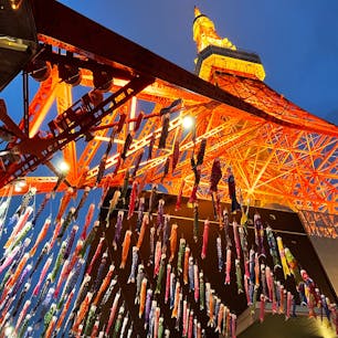 満開の桜と共に、333匹の鯉のぼりが泳ぐ東京タワー♪
5月7日までの「端午の節句」恒例企画。すごい迫力です！

#tokyo #tokyosightseeing #tokyotower #bluemoon