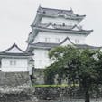 小田原城です。
この日は雨でした。。

#小田原城