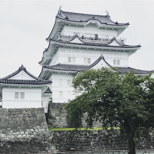 小田原城です。
この日は雨でした。。

#小田原城