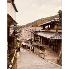 清水寺の産寧坂(三年坂)

清水寺へお参りに一念坂・二寧坂と歩き最後の産寧坂(三年坂)から清水寺へ、コレは豊臣秀吉の正室の北政所の寧々さんが、秀吉の死後高台寺から歩いた道です、阿弥陀ヶ峰の秀吉の墓所にお参りのコースでした。

此の枝垂れ桜が2024・4・24日かな、根元から折れました。

#サント船長の写真　#枝垂れ桜
#一本桜