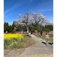 一心行の桜🌸だす。
😁😁😁
出店で買った牛串とたこ焼き
🤤🤤🤤🤤🤤