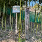 明智薮　(京都伏見小栗栖)
明智藪　明智光秀「絶命の地」はこんな何処です。
言って置きますが、車では無理です、バイクなら大丈夫ですね。
兎に角、下調べを充分にして明智薮へ、
	伏見区小栗栖小阪町

#サント船長の写真