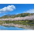 茨城県つくば市の桜の名所、「北条大池」へ🌸

池の周りには約500本の桜が植えられていて、筑波山とのコラボレーションもバッチリ👌

池と桜と筑波山のショットはもちろんのこと、水面にうつりこんだ景色にも注目です❣️