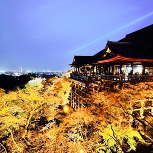 季節ごとに夜間特別拝観を実施している京都・清水寺。撮影した当時、清水の舞台周辺は満開の桜は少なかったのですが、今は美しいロケーションを見ることができます。
イベントは4月2日まで、ぜひ優雅な清水寺を参拝してみてはいかがでしょうか？

#京都 #清水寺 #春の夜間特別拝観 #清水の舞台 #ライトアップ #サトホーク