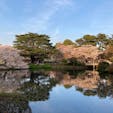 夕方の新宿御苑

たくさんの人が満開の桜を楽しんでいました🌸

#東京
#新宿
#千駄ヶ谷