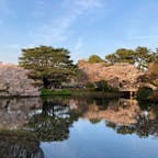 夕方の新宿御苑

たくさんの人が満開の桜を楽しんでいました🌸

#東京
#新宿
#千駄ヶ谷