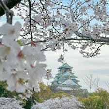 〰️Osaka🇯🇵〰️
#大阪城公園#大阪城