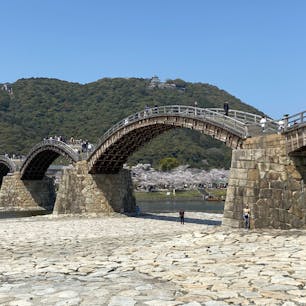 今回は山口と広島へ🚗³₃
桜が満開で綺麗でした🌸
錦帯橋／日本一ソフトクリーム／原爆ドーム