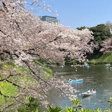 千鳥ヶ淵

桜とボートを漕ぐ人たちのコラボレーション
この時期この場所ならではの風景

#東京
