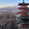 新倉富士浅間公園
「富士山」五重塔「忠霊塔」が一目に見ることができ此処が日本だ！と体感で来ます。海外からも大絶賛のスポットです。新倉山の中腹にあり、398段の階段を登るプチ登山の後に見る景色は一見の価値があります。
公園内には約650本の桜が植えられ、春にはさくらまつりは4月1日からです♪

#サント船長の写真