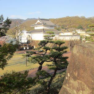 舞鶴城公園(甲府城跡)

武田氏滅亡後、豊臣秀吉の命により築城されました。関東の徳川家康に対抗するための重要な戦略拠点として築かれたといわれ、徳川体制になってからは西側への備えとしての重要性を保ち続けたといわれています。

#サント船長の写真　#お城巡り　#城跡