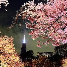 新宿御苑で開催中のイベント「NAKED桜の新宿御苑2023」。幻想的な光と桜とのコラボレーションを楽しめるほか、自分の名前が表示される体験型アートも楽しめますよ♪

#東京 #新宿 #新宿御苑 #桜 #naked桜の新宿御苑2023 #サトホーク