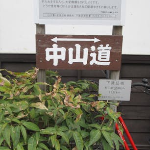 諏訪の中山道
伊那や松本へ通じる街道の分岐点にあり交通の要地だった。明治期の火災で本陣･脇本陣などは焼失し「旅籠いてふ屋」（国重文）だけが残った。現在は国道のため大型車の往来が多く宿場の景観は少ない。

#サント船長の写真