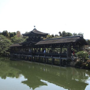 平安神宮の泰平閣
京都御所にあった京都博覧会の建物を大正元年に移築されました。屋根は桧皮葺、二層の楼閣の頂には西向きに青銅の鳳凰が載っています。
東山のひとつ将軍塚のある華頂山を借景にして、泰平閣が美しく控えています。回廊から眺める池泉回遊式庭園の神苑の光景は非常に趣があり、周囲に植えられた花や木々が四季折々の風景を見せてくれます。

#サント船長の写真　#平安神宮