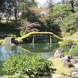 醍醐三宝院の庭

三宝院は永久3年(1115)、醍醐寺第14世座主・勝覚僧正により創建されました。醍醐寺の本坊的な存在であり、歴代座主が居住する坊です。現在の三宝院は、その建造物の大半が重文に指定されている。中でも庭園全体を見渡せる表書院は寝殿造りの様式を伝える桃山時代を代表する建造物であり、国宝に指定されています。

#醍醐寺　#三宝院