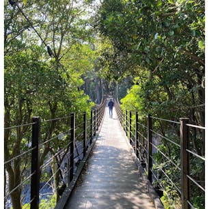 橋立吊り橋

伊豆高原駅で電車の出発時間まで少し時間が出来たので、駅から徒歩で行ける場所ということでこちらへ。

自然散策路を通って海沿いの吊り橋まで歩きました。高所恐怖症なので吊り橋は途中までしか行けませんでしたが😅すぐ近くで迫力のある海と海岸線を見れて大満足。自然の中のウォーキング楽しかったです。

#伊豆
#伊豆高原