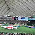 先日、東京ドームまで足を運んで野球のWBC(ワールド・ベースボール・クラシック)の試合を見に行ってきました！
独特の雰囲気を感じることができるほか、この目で大谷翔平を見れたのが、めっちゃ嬉しかったです♪

普段は読売ジャイアンツの試合やライブ、イベント会場として使われていますが、球場メシも絶品ですよ！

#東京 #後楽園 #水道橋 #東京ドーム #野球 #WBC #球場メシ #サトホーク