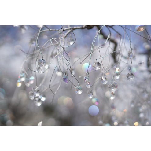 箱根ガラスの森美術館