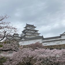 姫路城
天気悪いよー😭