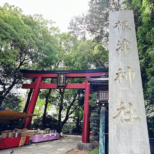 根津神社 つつじまつり
