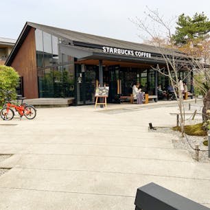 世界遺産「平等院」のすぐそばにある、スターバックスコーヒー京都宇治平等院表参道店。敷地内に庭があり、落ち着いた雰囲気が人気のお店です。

ガラス張りの店内やテラス席から、四季折々に変わる庭園の景色を眺めながら、コーヒーや軽食、各種ドリンクがいただけます。私が訪れたときには、ちょうど桜が咲いていました。

お店の裏には宇治川が流れていて、こちらの景色も美しいです。飲み物をテイクアウトして楽しむのも良さそうです。