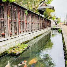 滋賀　五個荘金堂のまちなみ

錦鯉と白壁のまちなみが美しい

重要伝統的建造物群保存地区