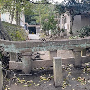 埋没鳥居
信じられないけど本当
#202302 #s鹿児島