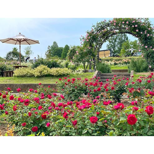 いばらきフラワーパーク