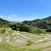 ちょうど田植えの時期の大山千枚田。GWはオーナーさんが田植えに来ているらしいのですが、この日は施設が休みの火曜日だったので、人も少なかったです。
カエルの鳴き声が響いてのどかでした。