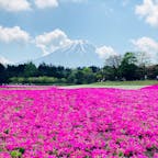 山梨　富士芝桜まつり

一面の芝桜に感動
二つの富士山が見れました