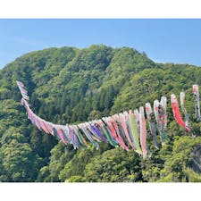 茨城県常陸太田市の「竜神峡鯉のぼりまつり」へ✨

竜神大吊橋周辺を中心に、約1,000匹の鯉のぼりの群泳が楽しめます🤩

竜神峡を舞うカラフルな鯉のぼりは圧巻❣️

鯉のぼりまつり期間中は様々なイベントも開催されているので、この機会にぜひ🎶