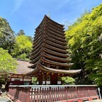 日本唯一の13重の塔がある談山神社。
中臣鎌足が大化の改新の相談をした場所なんだそうです。