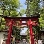 会津美里町の伊佐須美神社。
あやめや桜が有名ですが、今の時期は藤の花が見頃でした。
花手水や俳句のポストが可愛かったし、門前にある売店のソフトクリームが美味しかったです😋