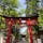 会津美里町の伊佐須美神社。
あやめや桜が有名ですが、今の時期は藤の花が見頃でした。
花手水や俳句のポストが可愛かったし、門前にある売店のソフトクリームが美味しかったです😋