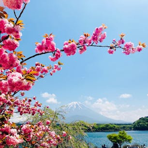 山梨　精進湖

湖畔まで車で行けました