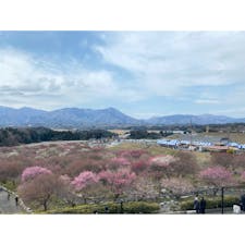 いなべ市梅まつり
満開ではなかったけど、屋台出てたり
お祭りしてて賑やかでよかった🎶
コロナ禍はなかったもんなぁ〜
#202303 #s三重