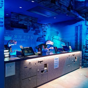 大阪府泉佐野市にある「変なホテル関西空港」は、関西空港にほど近い宿泊施設。チェックインは、他の系列ホテルと同様にロボットが接客してくれます。

こちらは、温泉施設「アクアイグニス関西空港　泉州温泉」を併設しているのも特徴です。オーシャンビューの大浴場での入浴は、とても気持ちが良いです。和食レストランもあり、海を眺めながら夕食、朝食がいただけます。