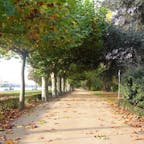 ドイツ・フランクフルトを南北に分ける大きな川、「マイン川」の河岸は緑豊かな散歩道や公園があります。

歩き疲れた時に、ちょっとベンチで休憩などもいいです。
また、マイン川を渡る橋もたくさんあり、橋からの景色も見ものです。