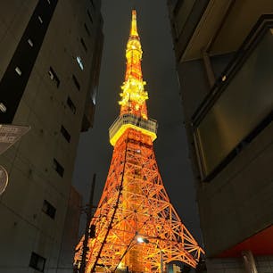 2023年5月13日(土)
東京タワーの近くまで来たので記念に📸
増上寺から見える🗼も👍

#東京タワー #増上寺 #芝公園 #東京 #観光名所
#記念撮影 #フォトスポット #夜景