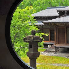 日光田母沢（たもざわ）御用邸記念公園は、大正天皇のご静養地として造営された御用邸。

精巧な建築様式や装飾は見応えがあります。侘び寂びを感じるお庭も見事です。





#栃木県 #日光 #日光田母沢御用邸記念公園