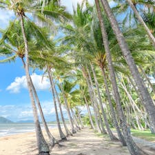 〰️Australia🇦🇺〰️
#cairns#palmcovebeach