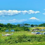 埼玉県桶川市の荒川の土手で撮りました

富士山が見えます