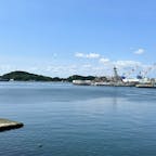 軍港・横須賀の風景を楽しめる「ヴェルニー公園」。園内には美しいバラの花を見ることができます。散策でひと息つきたい方におすすめですよ！

#神奈川 #横須賀 #軍港 #ヴェルニー公園 #バラ #旅田サトシ