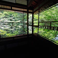 #京都
#瑠璃光院