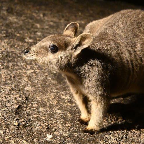 グラナイトゴージ・ネイチャーパーク