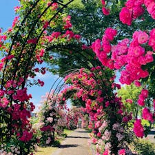 京都　道の駅ガレリアかめおか