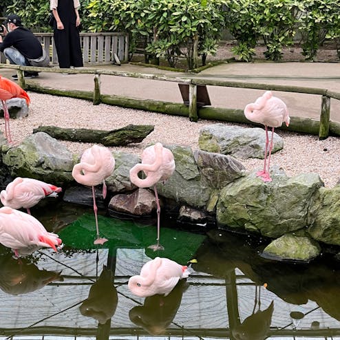 松江フォーゲルパーク