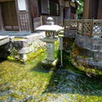 江戸時代には、中山道の宿場町として栄えた滋賀県米原市の醒井（さめがい）。静かな町に湧き水を水源とする地蔵川が流れ、とても風情がある。

この地蔵川では、夏に水中花の梅花藻（ばいかも）が見られることでも知られ、観光客が散策を楽しんでいる。

街道沿いでは、名物のマスを使った丼、名水まんじゅう、醤油ソフトといったグルメも楽しめる。古い郵便局や問屋場といった建物を見学する途中に、立ち寄って休憩するのも楽しい。