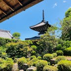 京都　穴太寺

西国三十三所観音霊場の
二十一番札所

お庭が本当に美しい🤩
