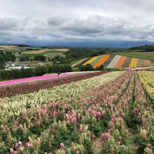夏になったらぜひ楽しみたいスポットのひとつが、北海道・美瑛の四季彩の丘。
これからのシーズンにはラベンダーやマリーゴールド、サルビアなど、色とりどりの花を見ることができますよ♪

#北海道 #美瑛 #四季彩の丘 #お花畑 #旅田サトシ
